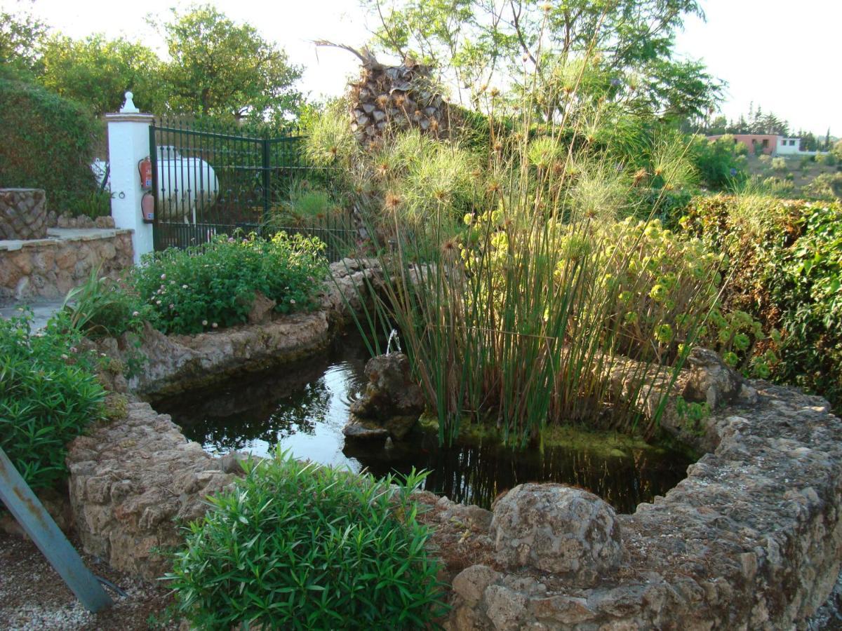 Tu Villa Rural Cortijo Los Cantos 7 Dormitorios Piscina Privada Alhaurín el Grande Eksteriør billede